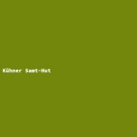 K&uuml;hner Samt-Hut
