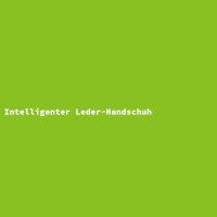 Intelligenter Leder-Handschuh