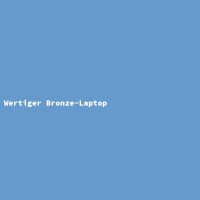 Wertiger Bronze-Laptop
